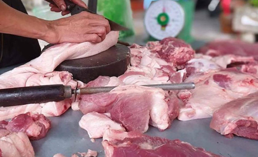 Giá lợn hơi xuống mức 80.000 đồng/kg, nhiều địa phương tái đàn 100%